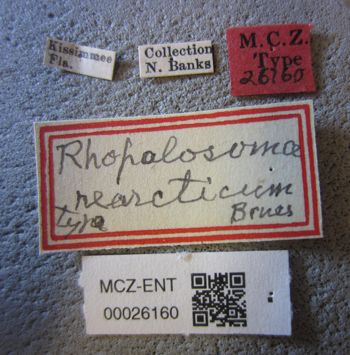 Media type: image;   Entomology 26160 Aspect: labels